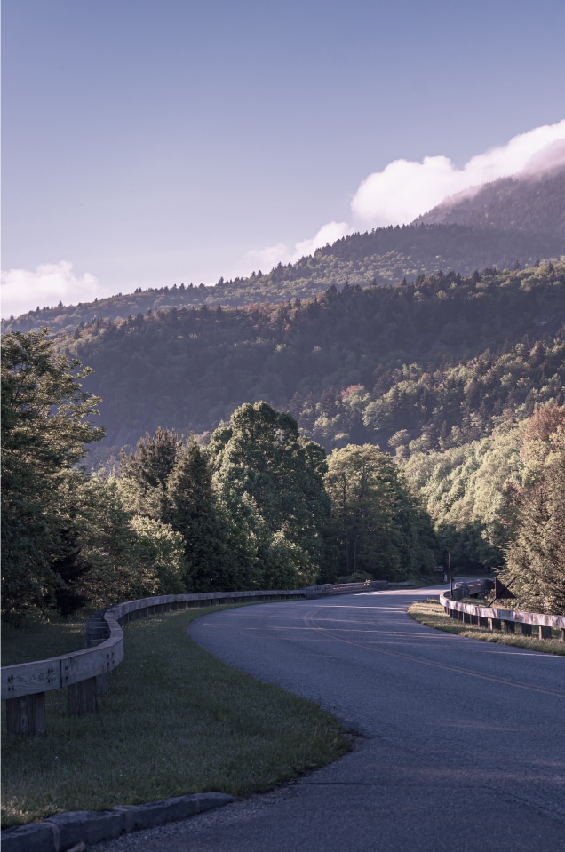 Curved road towards a mountain full of trees